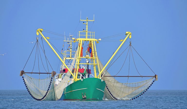 Commercial-Fishing-trawler-768x449